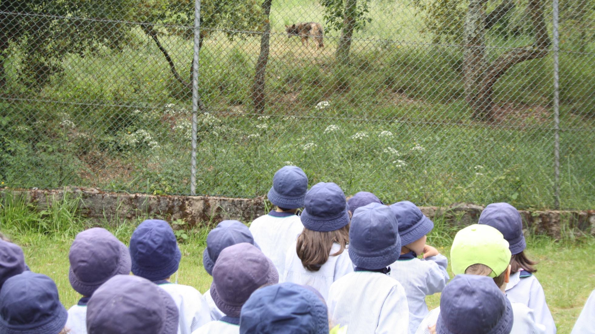 Environmental Education